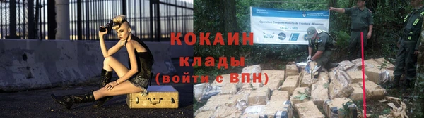 прущие грибы Белокуриха