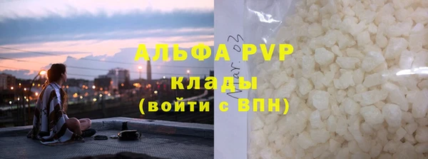 прущие грибы Белокуриха