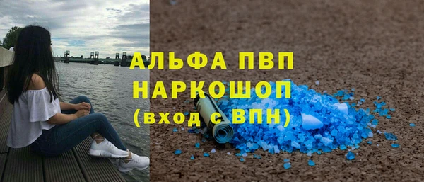 прущие грибы Белокуриха