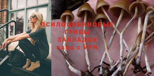 крисы Белоозёрский